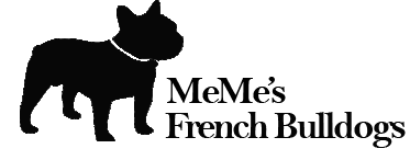 Manitoba French Bulldogs